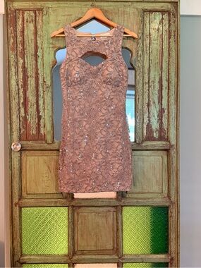 Emerald Sundae Nude Lace Sequin Cutout Mini Dress